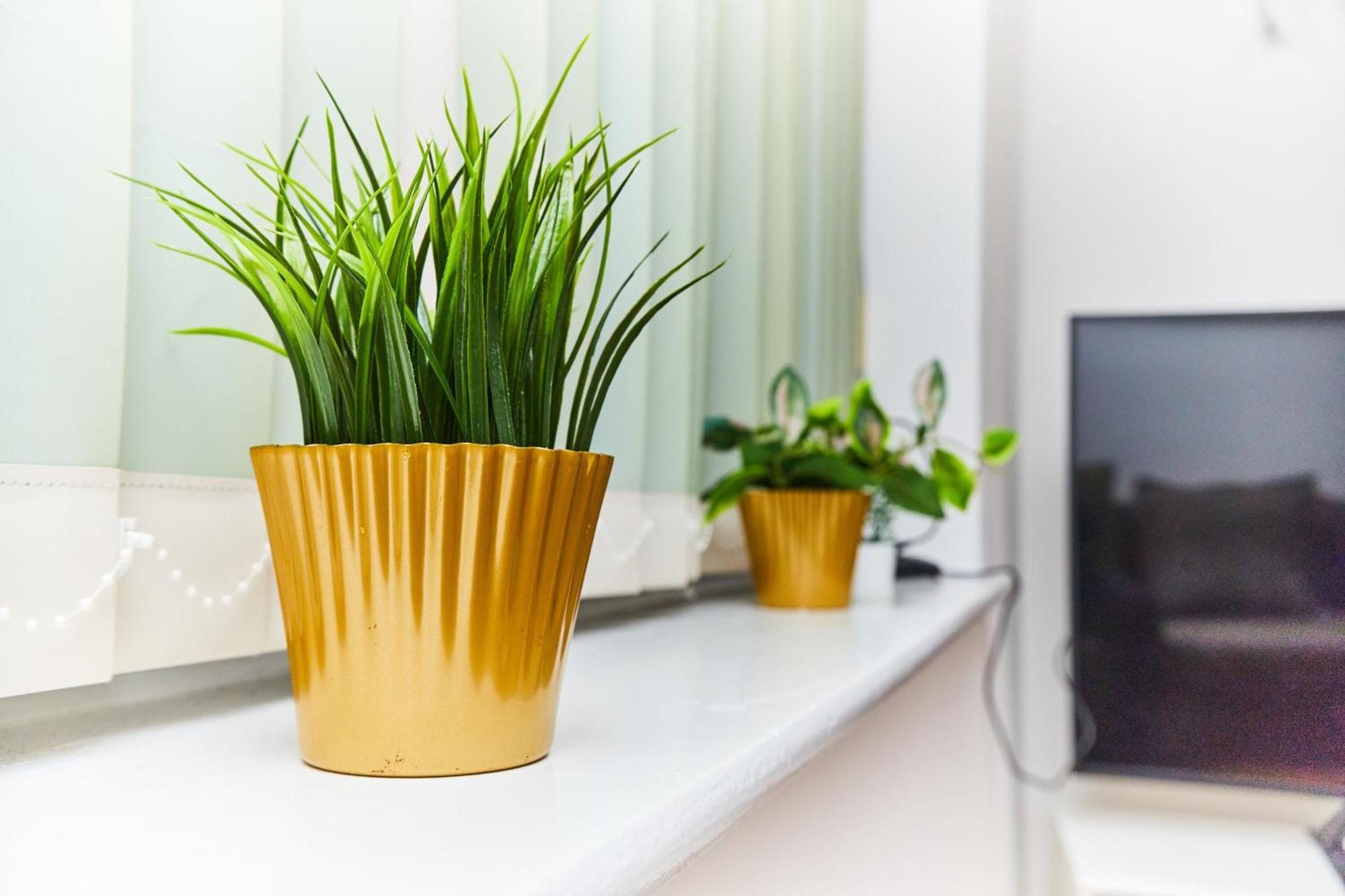 Emerald Apartments A Star Proximity لندن المظهر الخارجي الصورة